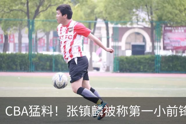 CBA猛料！张镇麟被称第一小前锋，麦基比赛态度变好，拉塞尔伤病出炉